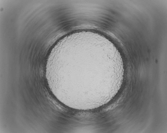 X0000088180929200706121647