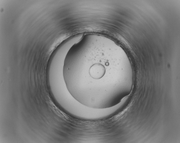 X0000088180930200706121647