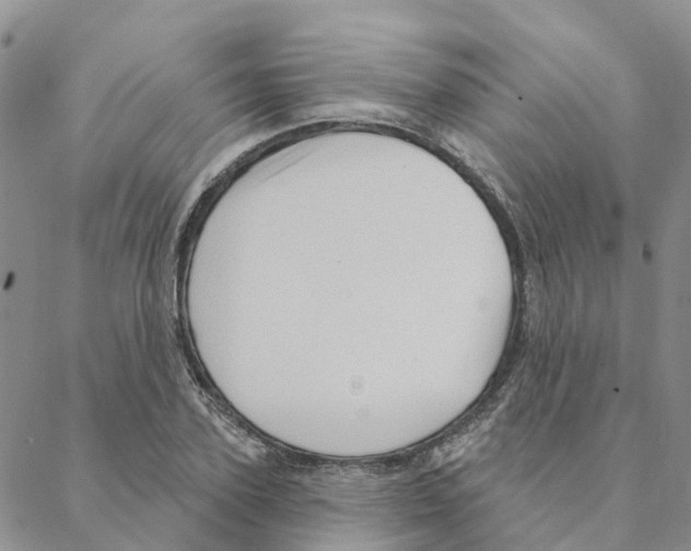 X0000088180931200706121647