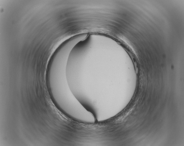 X0000088180932200706121647