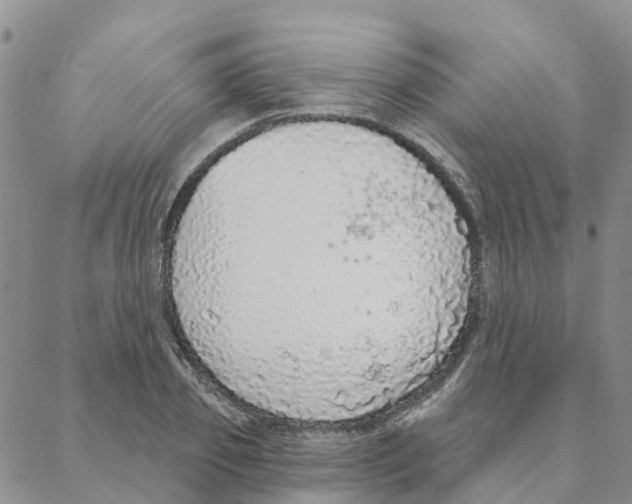 X0000088180933200706121647