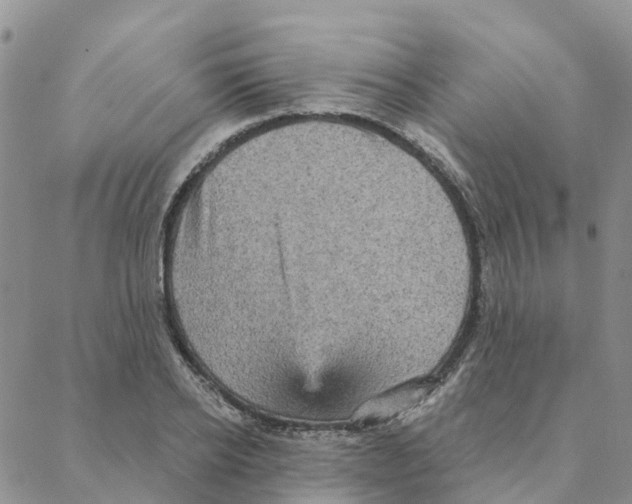 X0000088180934200706121647