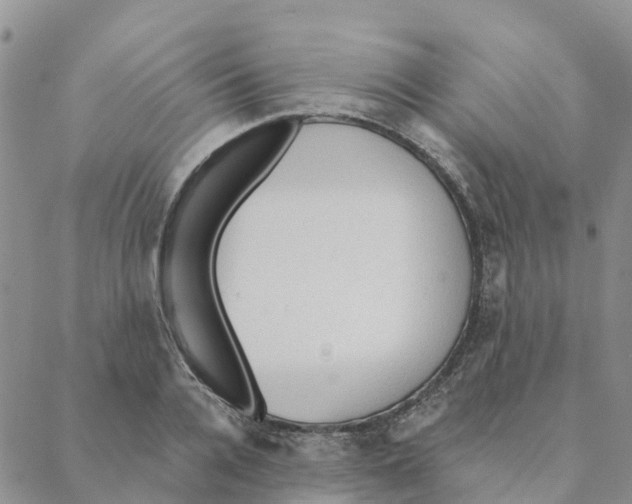 X0000088180936200706121647