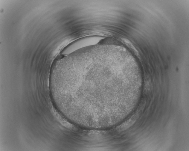 X0000088180938200706121647