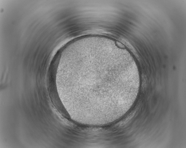 X0000088180939200706121647