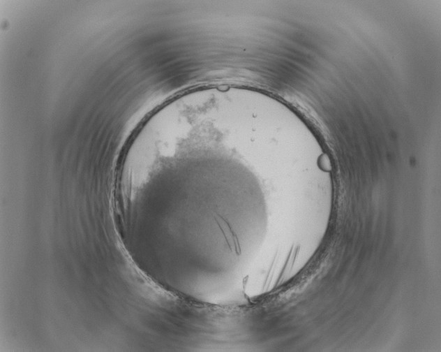 X0000088180941200706121647