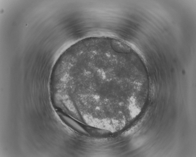 X0000088180943200706121647