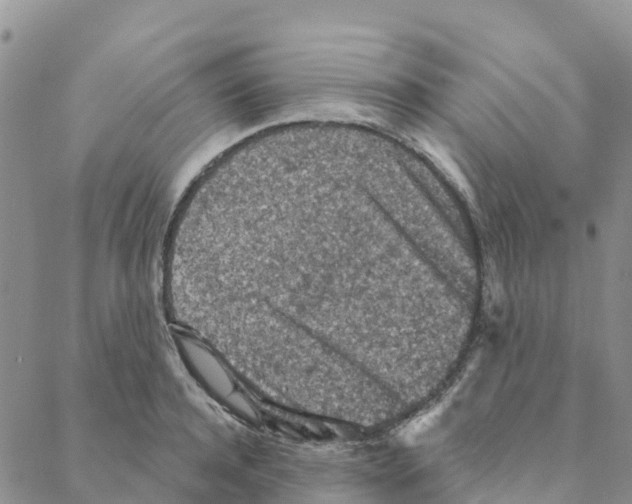 X0000088180944200706121647