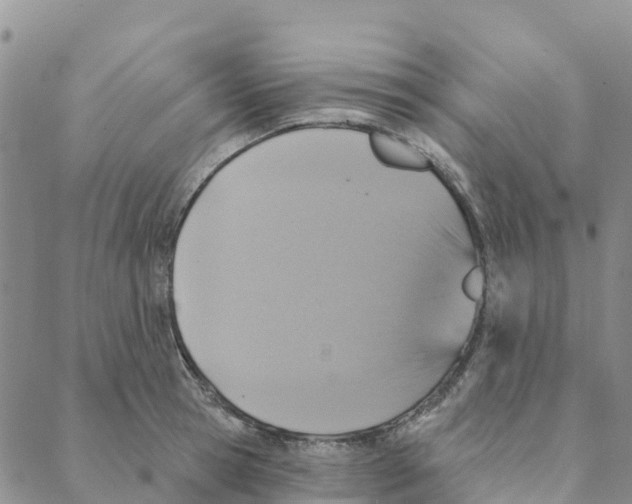 X0000088180945200706121647