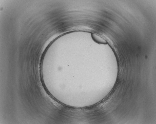 X0000088180947200706121647