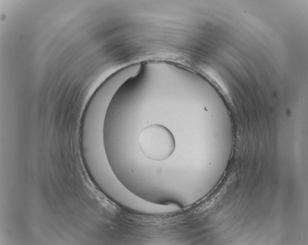 X0000088180948200706121647