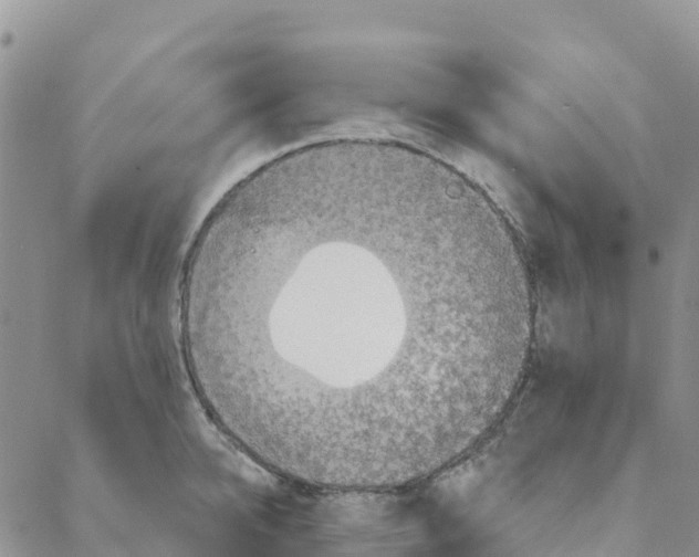 X0000088180950200706121647