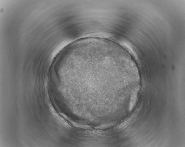 X0000088180952200706121647