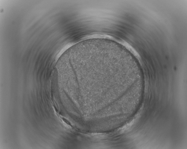 X0000088180953200706121648