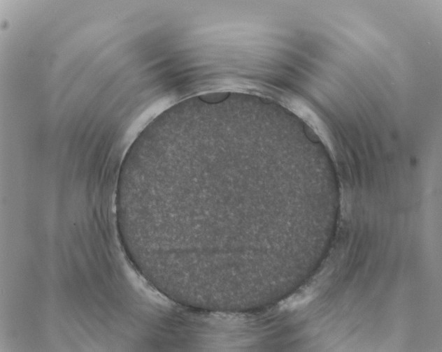 X0000088180954200706121648