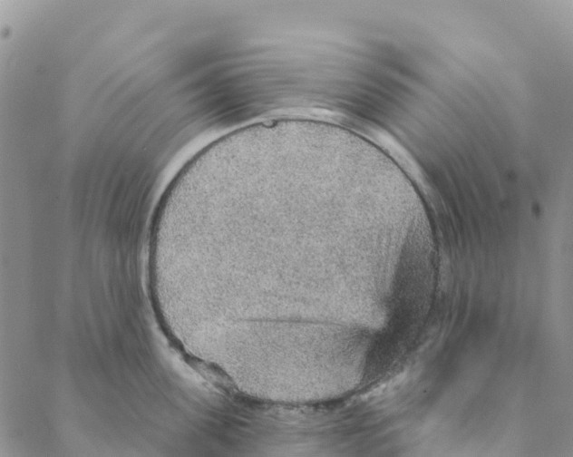 X0000088180955200706121648