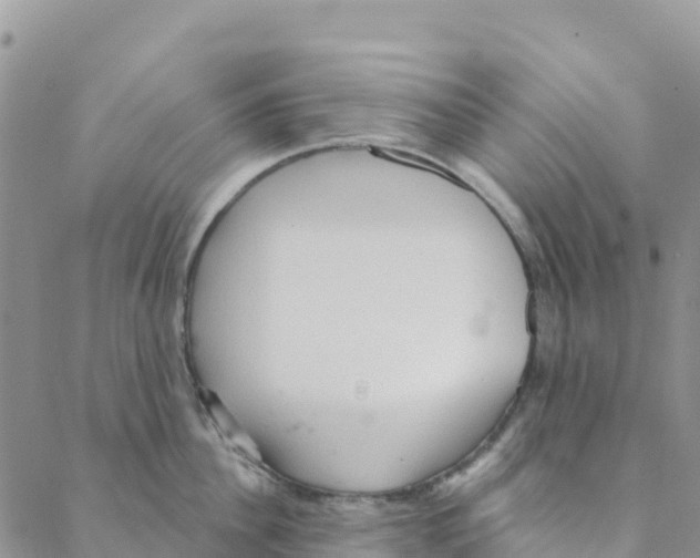 X0000088180956200706121648