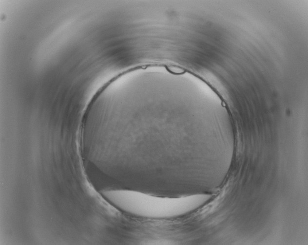 X0000088180958200706121648