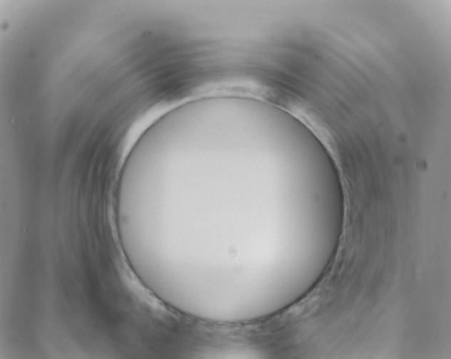 X0000088180960200706121648