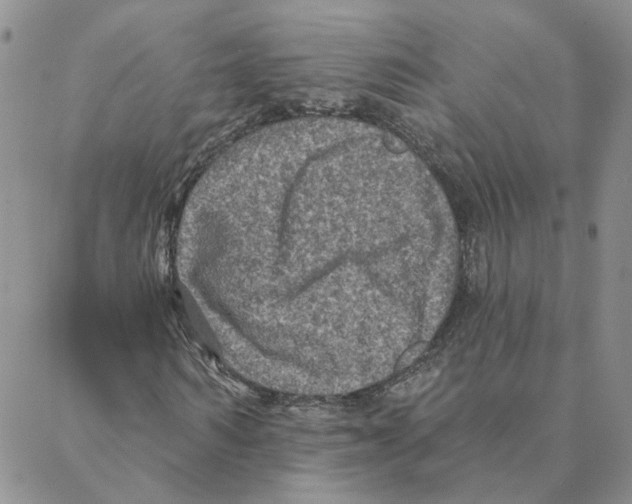 X0000088180962200706121647