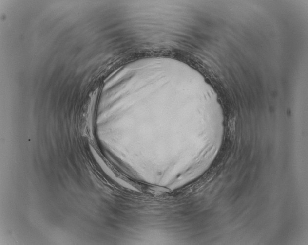 X0000088180963200706121647