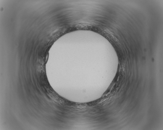 X0000088180964200706121647