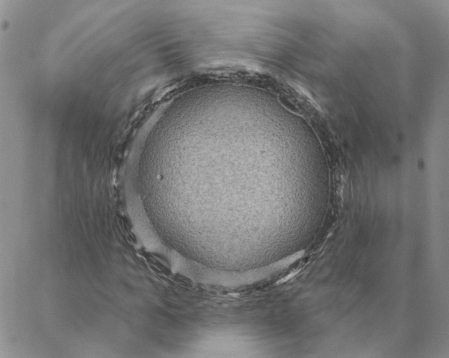 X0000088180965200706121647