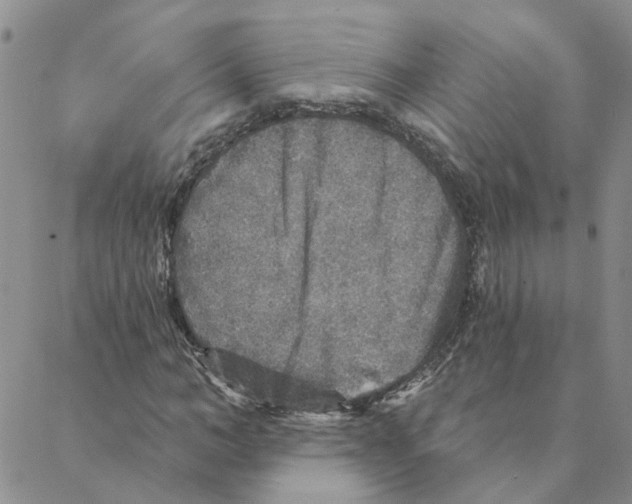 X0000088180966200706121647