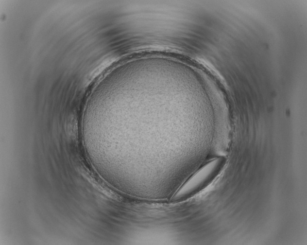 X0000088180969200706121647