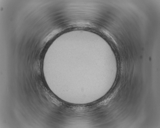 X0000088180970200706121647