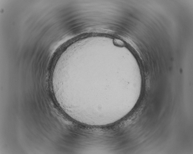 X0000088180971200706121647