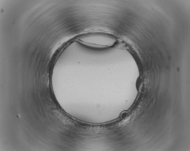 X0000088180973200706121647