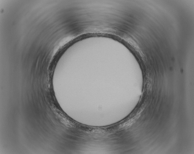 X0000088180974200706121647