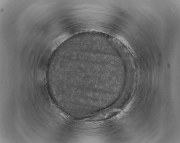 X0000088180977200706121647