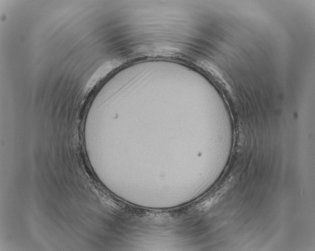 X0000088180978200706121647