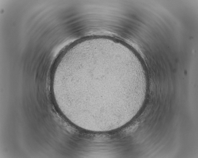 X0000088180979200706121647