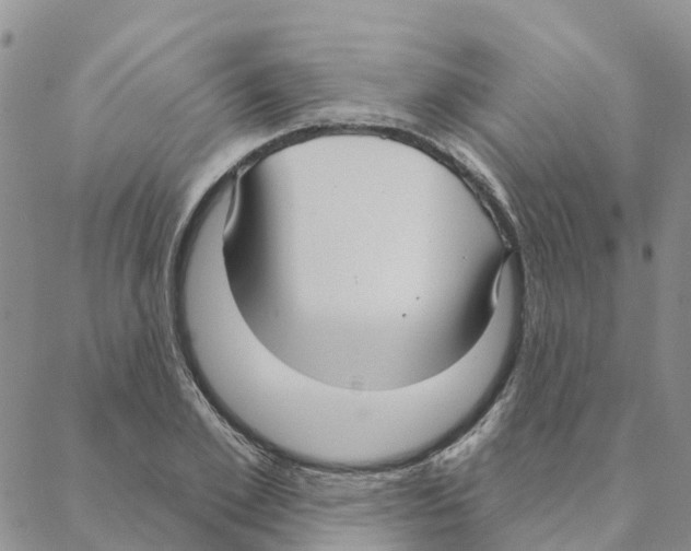 X0000088180981200706121647