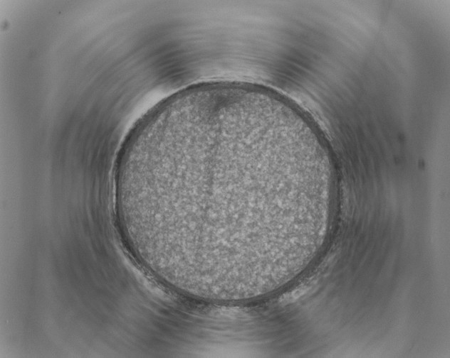 X0000088180982200706121647