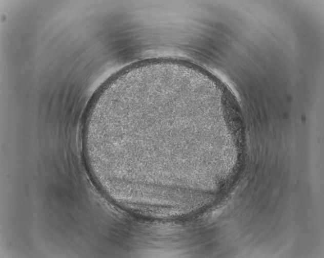 X0000088180983200706121646