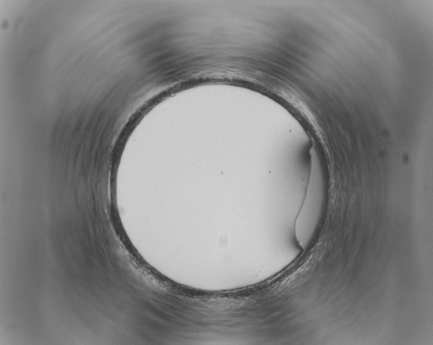 X0000088180984200706121646