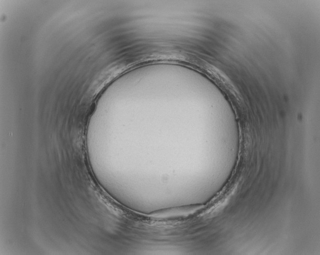 X0000088180985200706121646