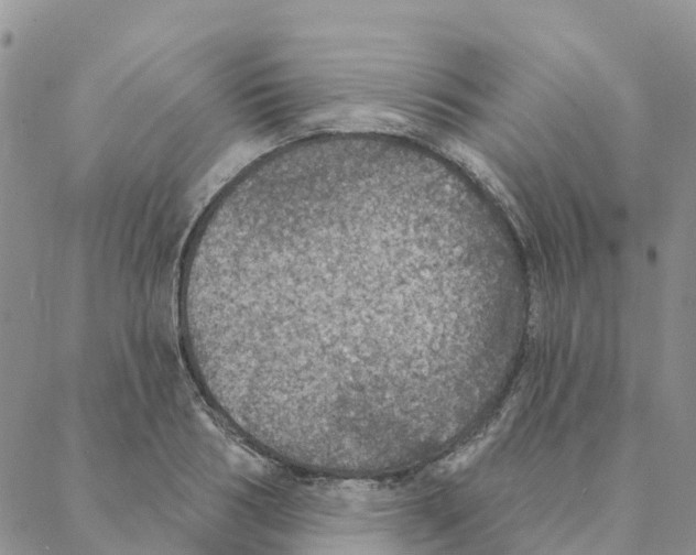 X0000088180986200706121646