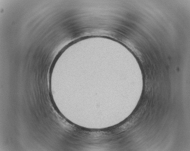 X0000088180988200706121646