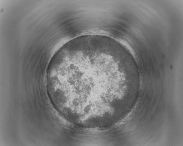 X0000088180990200706121646