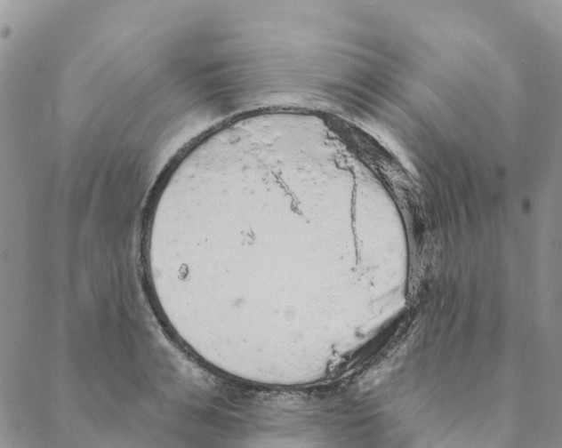 X0000088180991200706121646