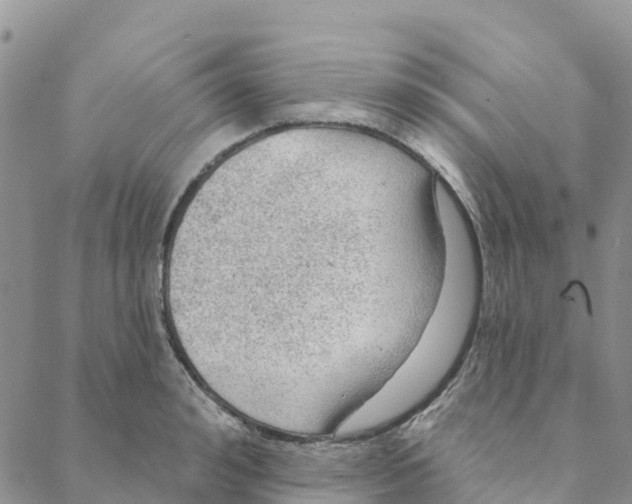 X0000088180992200706121646