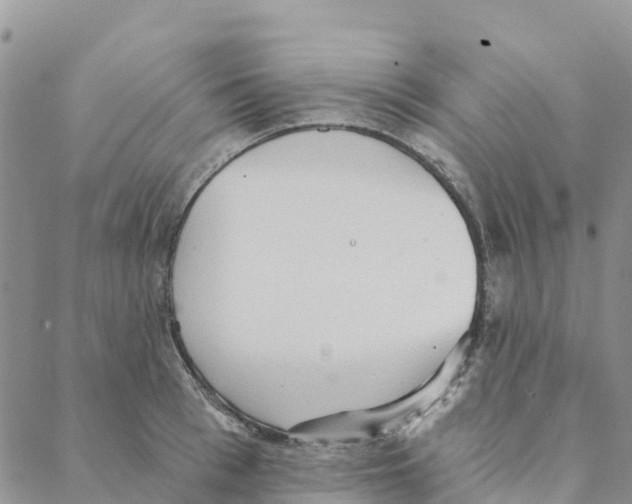 X0000088180993200706121646