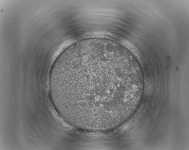 X0000088180994200706121646