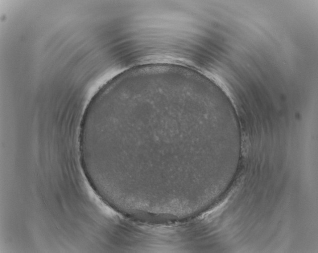 X0000088180995200706121646