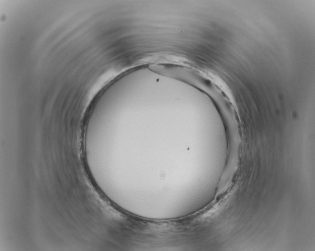 X0000088180997200706121646